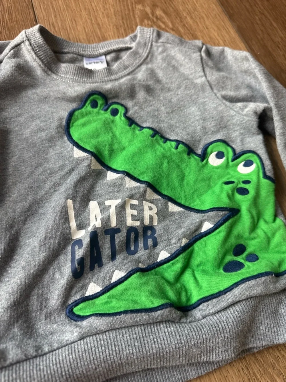 Carter's Gray Sweatshirt with Green Alligator Graphic
